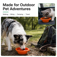 Bol pliable en silicone portable de 600 ml pour chiens et chats, avec bord large et base stable, pour nourriture et eau, idéal pour les voyages en plein air et le camping