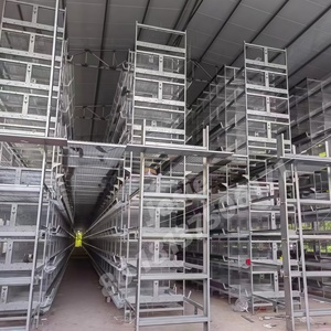 Nuevo Equipo para Granjas Avícolas: Jaulas de 3 Niveles para 160 Aves, Tipo H, de Acero Galvanizado de Alto Carbono para Gallinas Ponedoras - Product Image 6