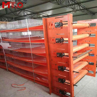 L'Élevage de Cailles en Cage à Liaocheng, Province du Shandong, a Réalisé l'Automatisation Complète de la Reproduction de Cailles