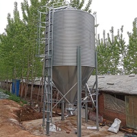 Fornitura Professionale di Silos in Acciaio Zincato per Mangimifici con Grande Capacità di Stoccaggio
