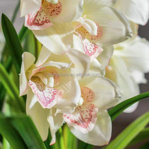 <span class=keywords><strong>Whelan</strong></span> avec feuilles en pot fleurs artificielles orange plante florale artificielle avec pot fleurs d'orchidées artificielles - Product Image 5