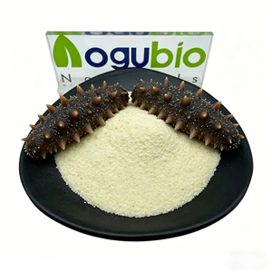 Poudre de Peptide de <span class=keywords><strong>Concombre</strong></span> de Mer Naturel en Vrac à <span class=keywords><strong>Prix</strong></span> <span class=keywords><strong>d</strong></span>'Usine - Extrait de <span class=keywords><strong>Concombre</strong></span> de Mer Cosmétique - Product Image 6