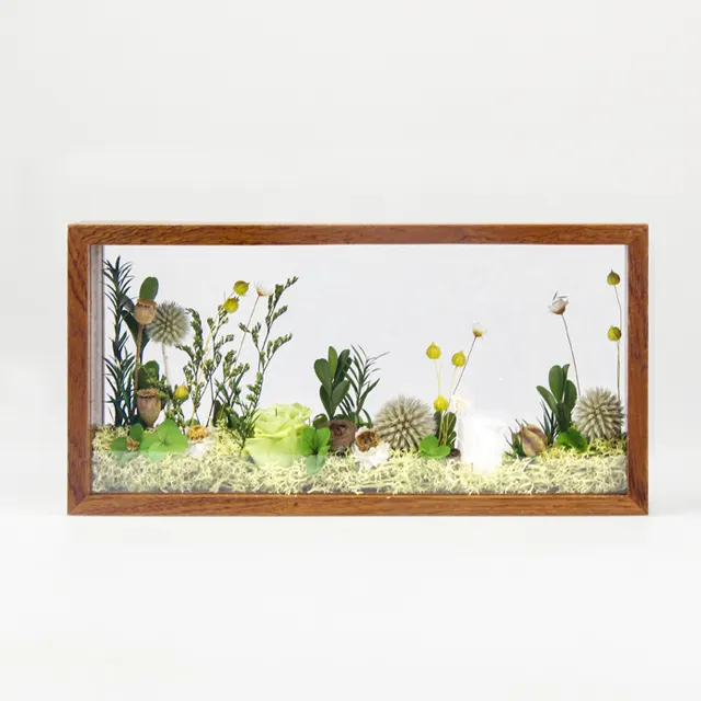 new product ideas 2023 Wholesale picture wooden plant specimen display frame acrylic floating photo frame