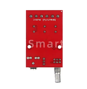 Module d'amplificateur audio numérique de classe D XH-M145 50W-100W 12V-24V CC Mono Amplificateur de puissance pour haut-parleur <span class=keywords><strong>Subwoofer</strong></span> Système audio DIY - Product Image 3