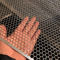Filet de poinçonnage de tôle perforée hexagonale grille en métal perforé à trou hexagonal