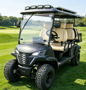 Voiture de golf homologuée CE 48V 6 places pour le tourisme et les visites, homologuée pour la route - Product Image 1