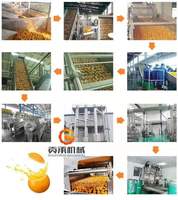 Industriële Kant-En-Klare Mango Appelpulp Productielijn Pompoendruiven Fruit En Groentesap Maken Machine Geconcentreerd