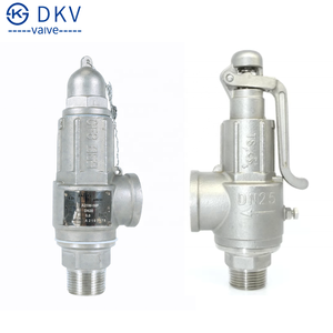 Válvula de alivio de presión de caldera de vapor con resorte DKV A28Y/W, rosca de acero inoxidable 304, válvula de seguridad de vapor con resorte para tubería de caldera - Product Image 3