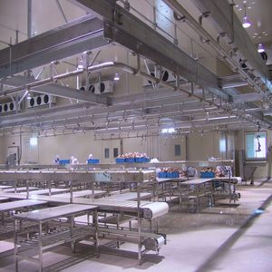 Mesin Jalur Pemotongan Babi untuk Produksi Lengkap Rumah Potong Hewan Babi - Product Image 2