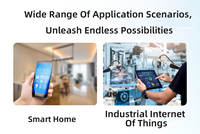 Module WiFi FCM100D 5.2, carte adaptateur breakout 2.4GHz SMT LCC pour IoT, maison intelligente et développement industriel avec antenne