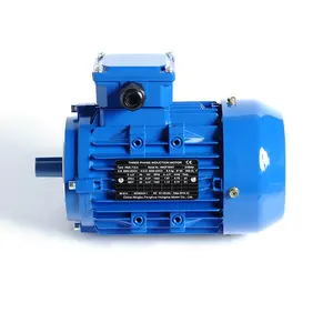 Y2 Serie IE1 Standaard Kleine 2 Polen Drie Fase Asynchrone Elektrische Motor 0.55kw