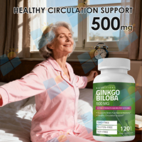 SUNI Großhandels preis Reine natürliche Pflanzen extrakte Ginkgo Biloba Extrakt Ergänzung 500mg Ginko Biloba Kapseln für Erwachsene