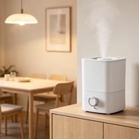 Diffuseur d'arômes ultrasonique à LED réglable, humidificateur d'air, capacité 3-5L, pour bureau et hôtel, aromathérapie, vente en gros d'usine