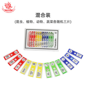 Portaobjetos de microscopio de 48 diapositivas para que los estudiantes de primaria observen células biológicas (caracteres en inglés y chino) - Product Image 5