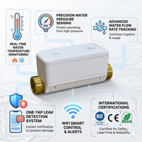 Système de gestion intelligente de l'eau Tuya WiFi AI, vanne principale à commande à distance par application avec kit de détection de fuite d'eau CE ROSH NSF FCC UPC