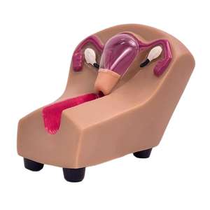 نموذج تعليمي طبي لتدريب على وسائل منع الحمل - Product Image 5