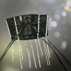 Women Black <b>Velvet</b> Waist Cincher <b>Corset</b> Belt Long Chain Tassel Bustier Tube <b>Top</b> - Product Image 2