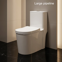 WC monobloc contemporain en céramique intégrée, blanc, à poser au sol, en porcelaine émaillée lisse pour salle de bain