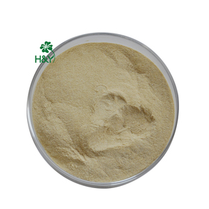Venta caliente de alta potencia Serrapeptase suplemento Serrapeptase polvo - Product Image 1