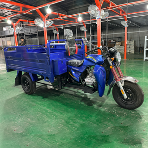Gasoline Motorized Open Tricycle Motorcycle 1.3x1.9m Cargo <b>Box</b> 500kg Load Capacity Small Business Owners Individual Transporters - Product Image 1