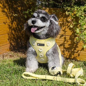 Conjunto de arnés de punto personalizado para perro, margaritas amarillas, arnés de lujo para mascotas, collar de correa, bolsa para caca, Bandana, pajarita - Product Image 3