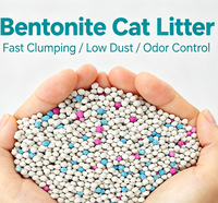 Litière pour chat en bentonite 5 kg, hautement absorbante, agglomération rapide, anti-poussière, contrôle durable des odeurs, sable pour chat