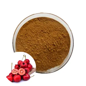 Venda quente hawthorn chá berry extrato hawthorn frutas grau alimentício Hawthorn Juice Powder