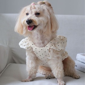 Robe d'été à pois avec nœud et manches courtes en polyester jaune clair pour animaux de compagnie, toutes saisons - Product Image 2