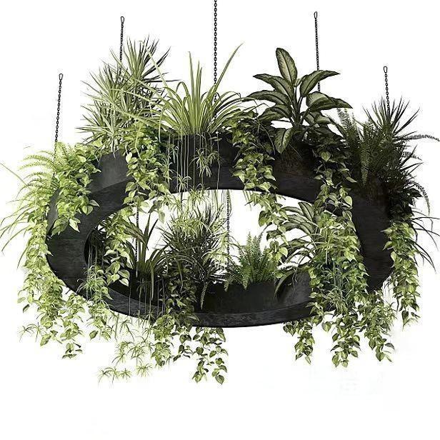 Suspension Light Hanging Plants