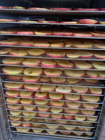 Automatische Zeekomkommer Reinigings-En Droogmachine Voor Schone Verwerking Van Fruitgroenten, Was-En Droogmachine