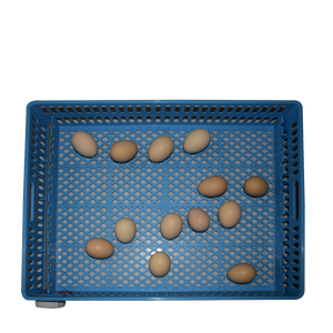 Nouveau modèle 2026 <span class=keywords><strong>Prix</strong></span> usine Incubateur <span class=keywords><strong>d</strong></span>'œufs automatique pour 180 œufs (poulet, autruche, <span class=keywords><strong>oie</strong></span>, dinde) avec retournement automatique <span class=keywords><strong>des</strong></span> œufs, taux <span class=keywords><strong>d</strong></span>'éclosion de 98%, double alimentation, en plastique - Product Image 4