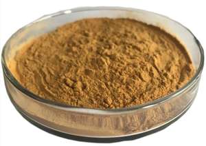 Extracto de <span class=keywords><strong>Coprinus</strong></span> <span class=keywords><strong>Comatus</strong></span> Shaggy Mane, Polvo de Polisacárido Beta Glucano, Impulso de Energía - Product Image 2