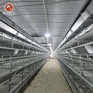 4 Tier Poultry Farm House Automatic H Type Broiler Chicken Battery Cage System