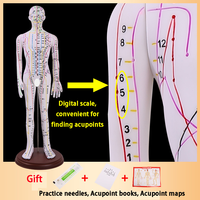 Acupuncture 62CM et point de moxibustion Modèle humain Corps entier Médecine traditionnelle chinoise Diagramme des douze méridiens