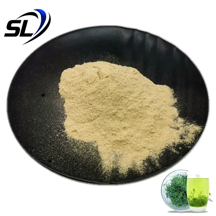 98% Gypenoside High Quality CAS 15588-68-8 Healthcare Supplement Organic Gynostemma Extract