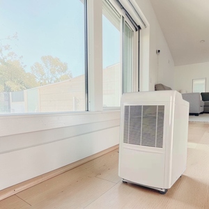 Deshumidificador DL con Ajuste de Velocidad del Ventilador para Dormitorio, Apagado Automático al Llenarse el Tanque, Pantalla LED de 2 Dígitos, Prefiltro de PP - Product Image 1