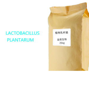 Lactobacillus Plantarum en Polvo, Probiótico Directo de Fábrica, Aditivo para Alimento de <span class=keywords><strong>Peces</strong></span> y Camarones, Mejora la Calidad del <span class=keywords><strong>Agua</strong></span> y la Flora Intestinal - Product Image 6