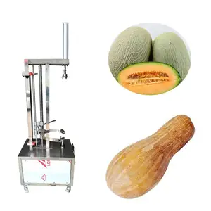 Commercial Pumpkin Peeling Machine/ Automatic Fruit Peeling Machine / Watermelon Peeler