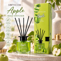 Premium 120ml Aroma Reed Diffuser met cadeauverpakking en fibersticks voor hotel, retail en op maat gemaakte geurprogramma's