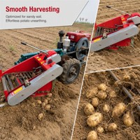 Cosechadora de Patatas de Alta Productividad con Estructura de Acero y Cadena de Arrastre, Accionada por Tractor Manual, para Cultivos Subterráneos de Batata
