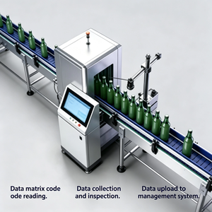 Línea de Seguimiento de Paletas de Botellas Totalmente Automática con Lectura de Códigos de Matriz de Datos, Inspección y Carga de Datos al Sistema de Gestión - Product Image 3