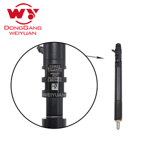 WEIYUAN WY 6650170221 injektor bahan bakar Injector injektor Diesel untuk SsangYong Rexton Euro 4 untuk EJBR04401 Z <span class=keywords><strong>R04401D</strong></span> untuk <span class=keywords><strong>Delphi</strong></span> - Product Image 4