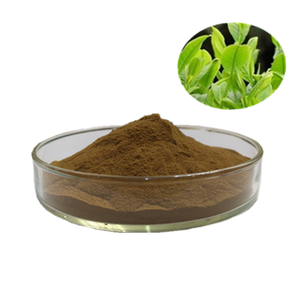 Extracto de Yerba <span class=keywords><strong>Mate</strong></span> Natural en Polvo Más Vendido - Product Image 1
