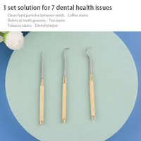 Ensemble de soins dentaires 3 pièces en acier inoxydable | Kit de cure-dents réutilisable et portable pour le voyage/la maison | Antibactérien et écologique