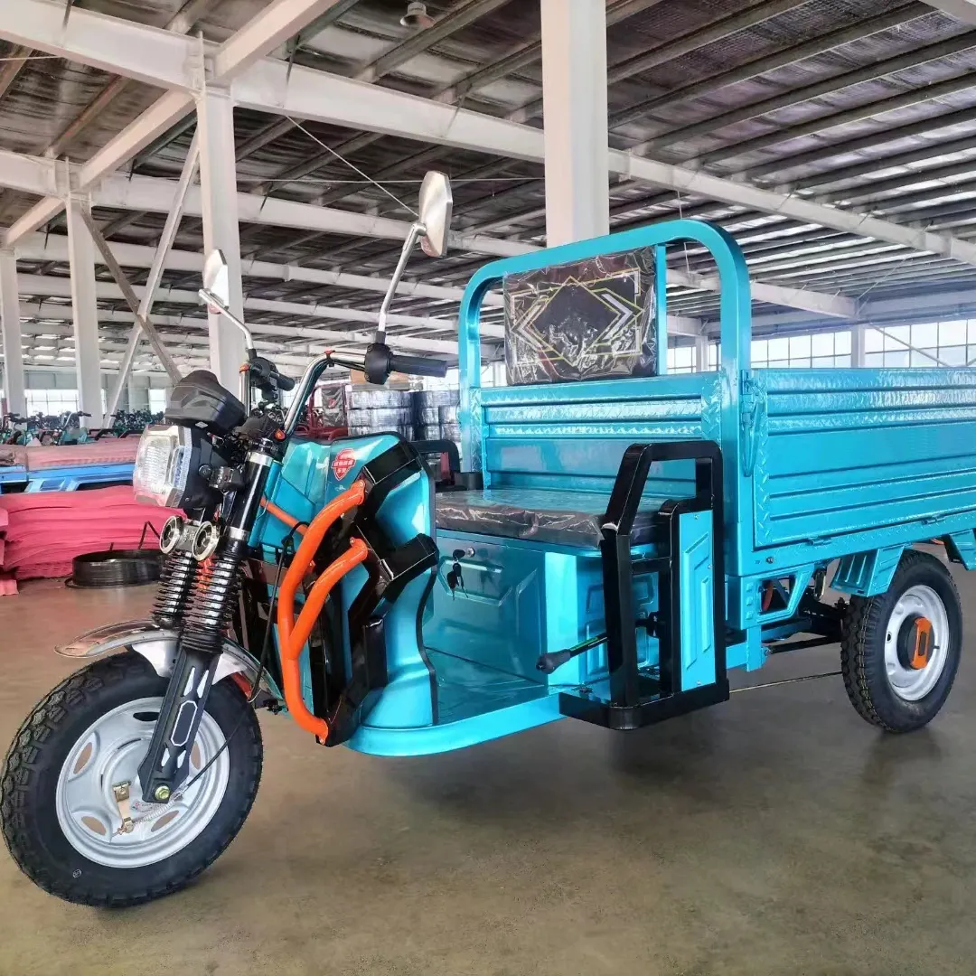 2024 Popular Three Wheels Electric Tricycles Cargo With Strong Power For Adults