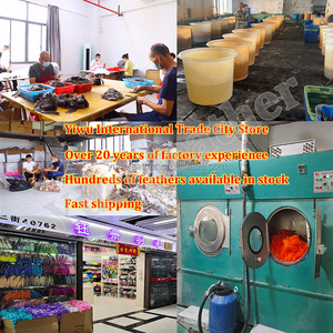 Tự nhiên gà lôi lông Ribbon rìa cho nam giới của phụ nữ Fedora <span class=keywords><strong>Hat</strong></span> lông <span class=keywords><strong>hat</strong></span> ban nhạc may TRIM rửa mẫu tóc phụ kiện - Product Image 6