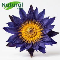 100% Bunga Teratai Biru Kering Alami Utuh Nymphaea Caerulea Teh Herbal Bunga Kemasan Besar