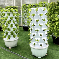 Système hydroponique vertical de jardin en tour pour serre