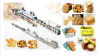 Machine industrielle automatique de fabrication de biscuits pour boulangerie, à base d'eau, nouveau modèle, facile à utiliser, ligne de traitement des biscuits