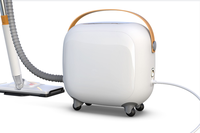 Nettoyeur vapeur portable MKS 120V avec 4 niveaux de pression vapeur, pour usage extérieur, 1500W de puissance